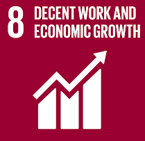 SDG 8 Descent Work