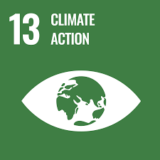 SDG 10